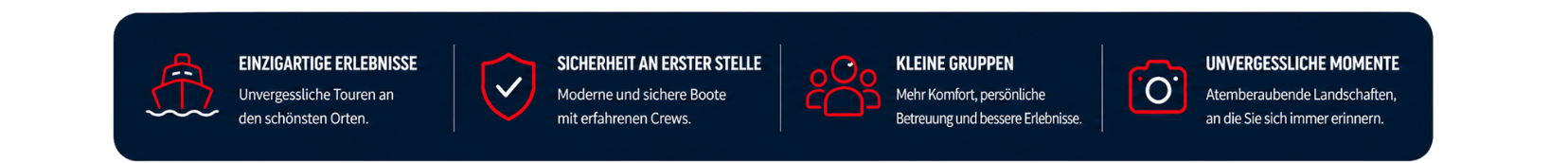 Infographic with four icons and German text on a dark background.